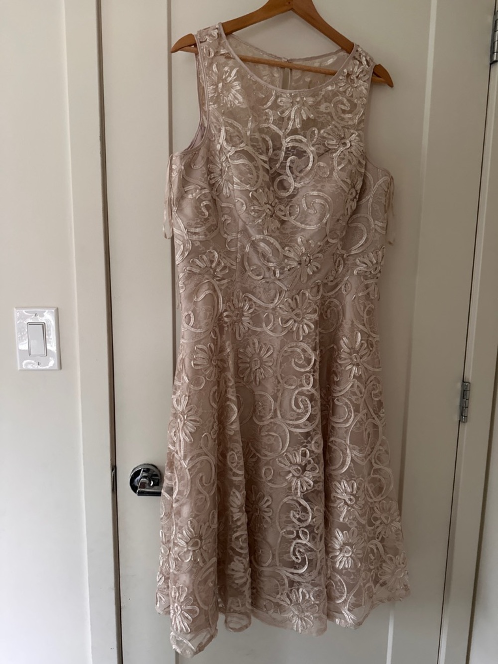 Jessica Howard Blush Lace Fit & Flare Dress